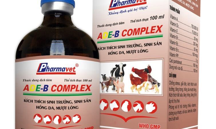 Hướng Dẫn Sử Dụng Thuốc Cho Gà Đá Không Chạy Hiệu Quả Nhất